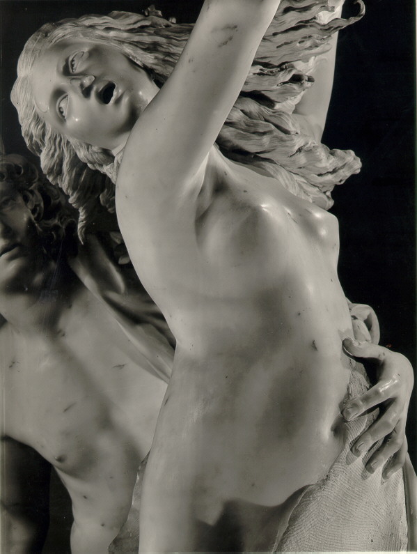Bernini-Apollo-and-Daphne-detail3.jpg