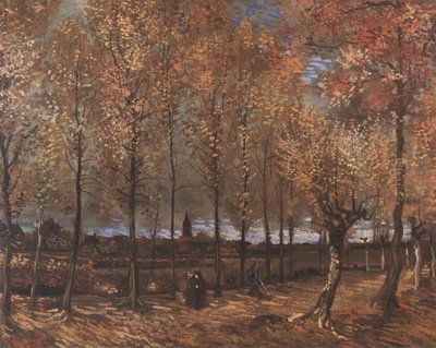 lane with poplars, nuenen