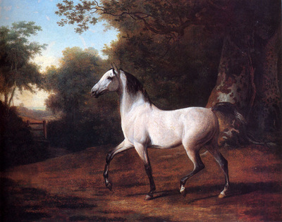 Agasse Jacques Laurent A Grey Arab Stallion In A Wooded Landscape