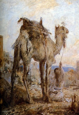 Bauer Marius The camel Sun