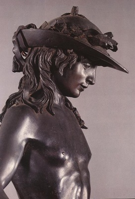 david