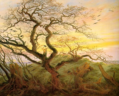 friedrich2