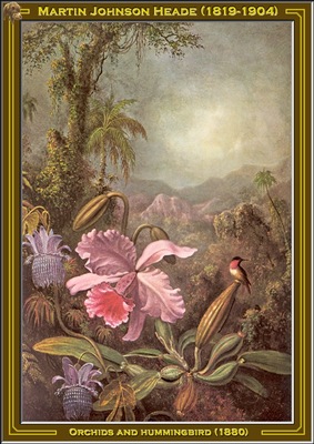 martin j heade orchids and hummingbird 1880 po amp