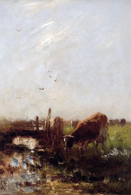 Maris Willem Cows at a brook Sun