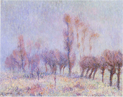 willows in fog