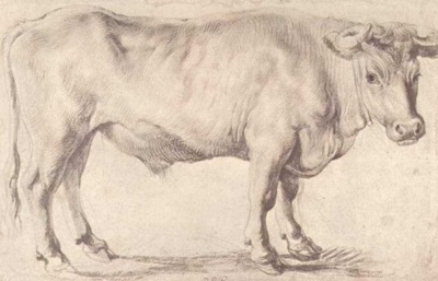 bull 1618
