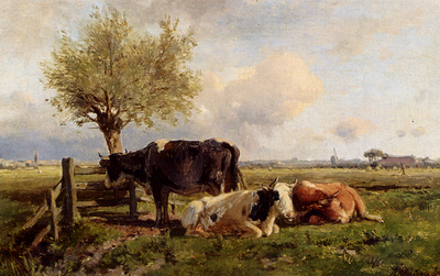 Mauve Anton Resting Cows