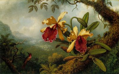 Orchids and Hummingbird ATC
