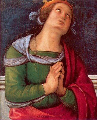 perugino19