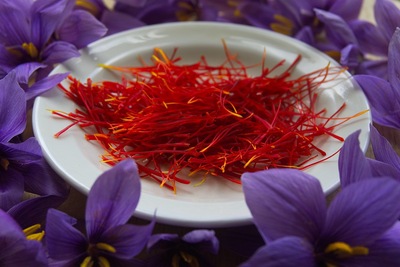 Nhụy Hoa Nghệ Tây